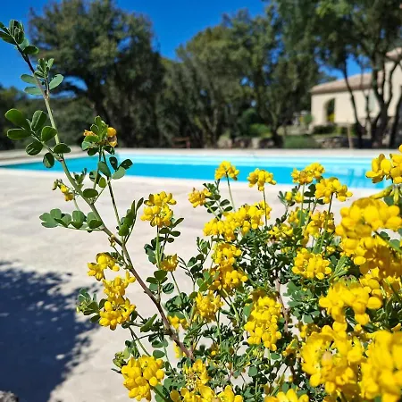 L'eden De Mila, Le Charme En Provence *