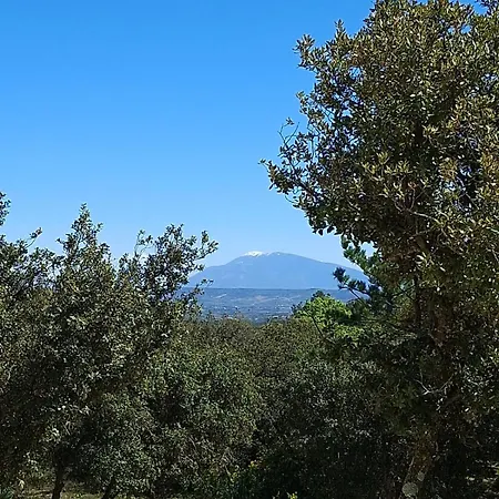 L'eden De Mila, Le Charme En Provence Villa *