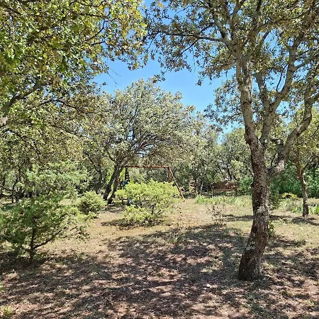 Villa L'eden De Mila, Le Charme En Provence *